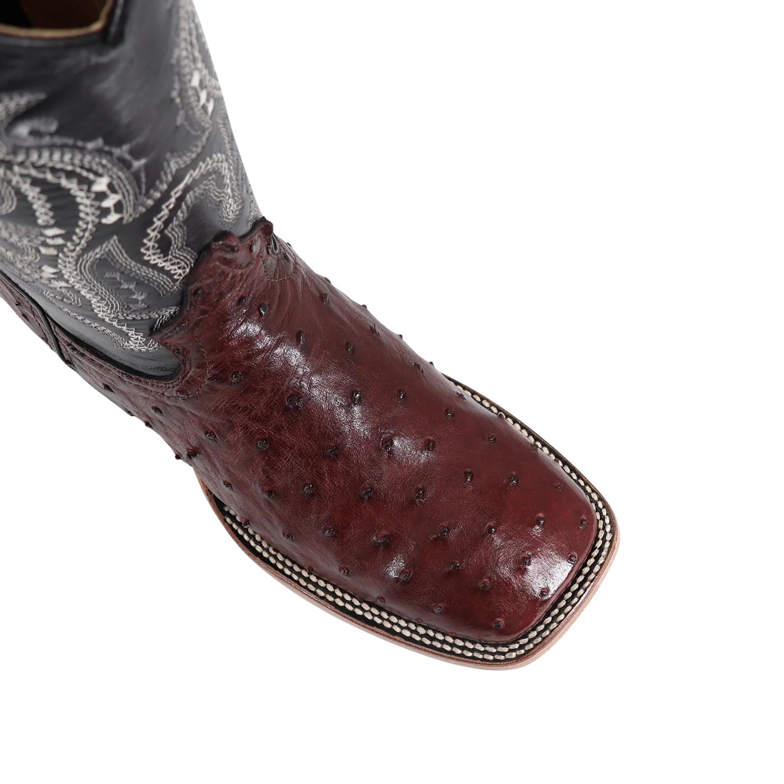 Avestruz Vino, Horma Bulldog