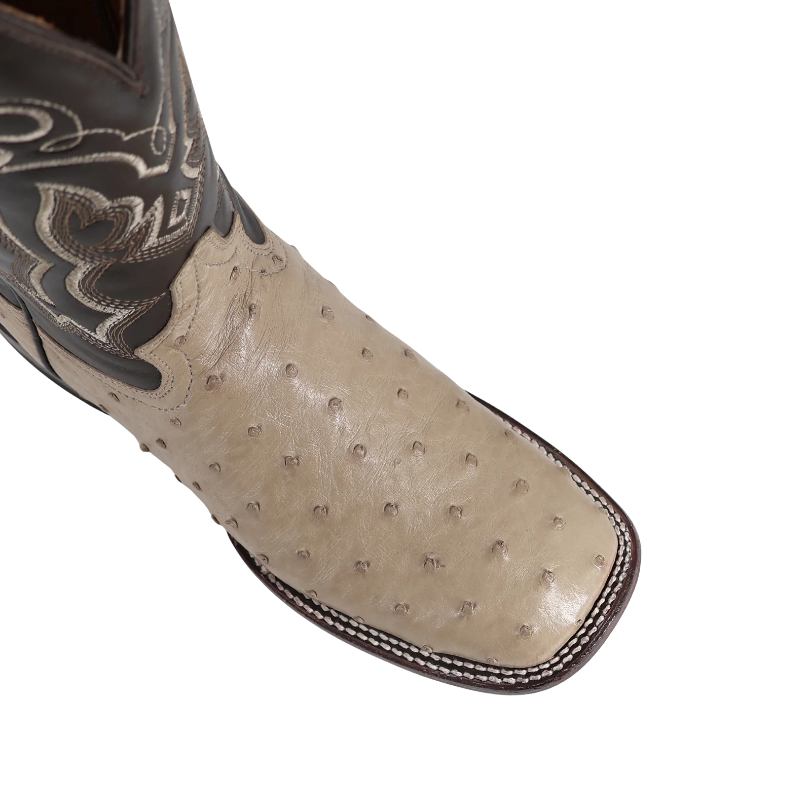 Avestruz Hueso, Horma Bulldog