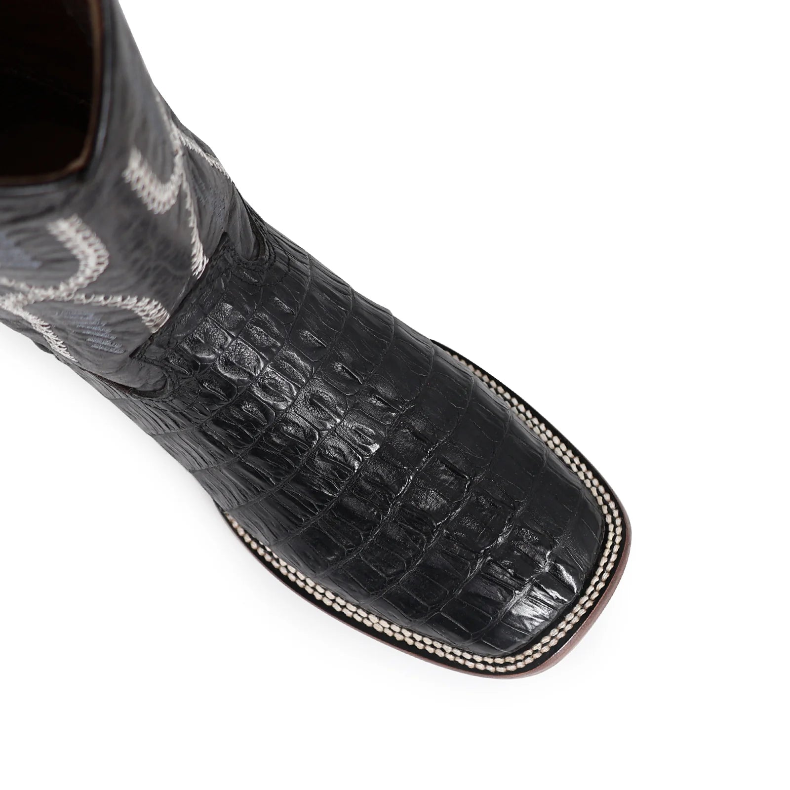 Cocodrilo Cola Negro, Horma Bulldog