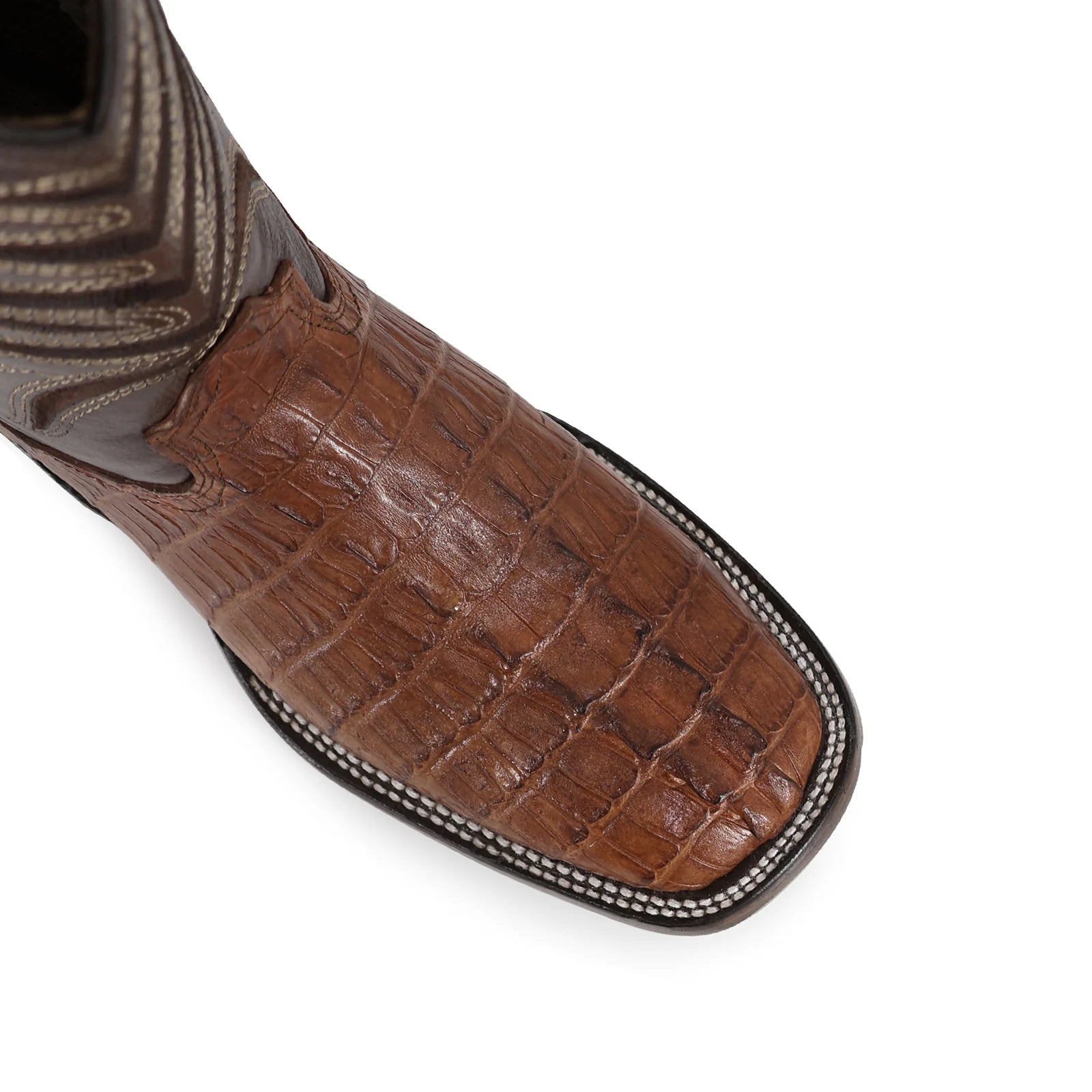 Cocodrilo Cola Cognac, Horma Bulldog