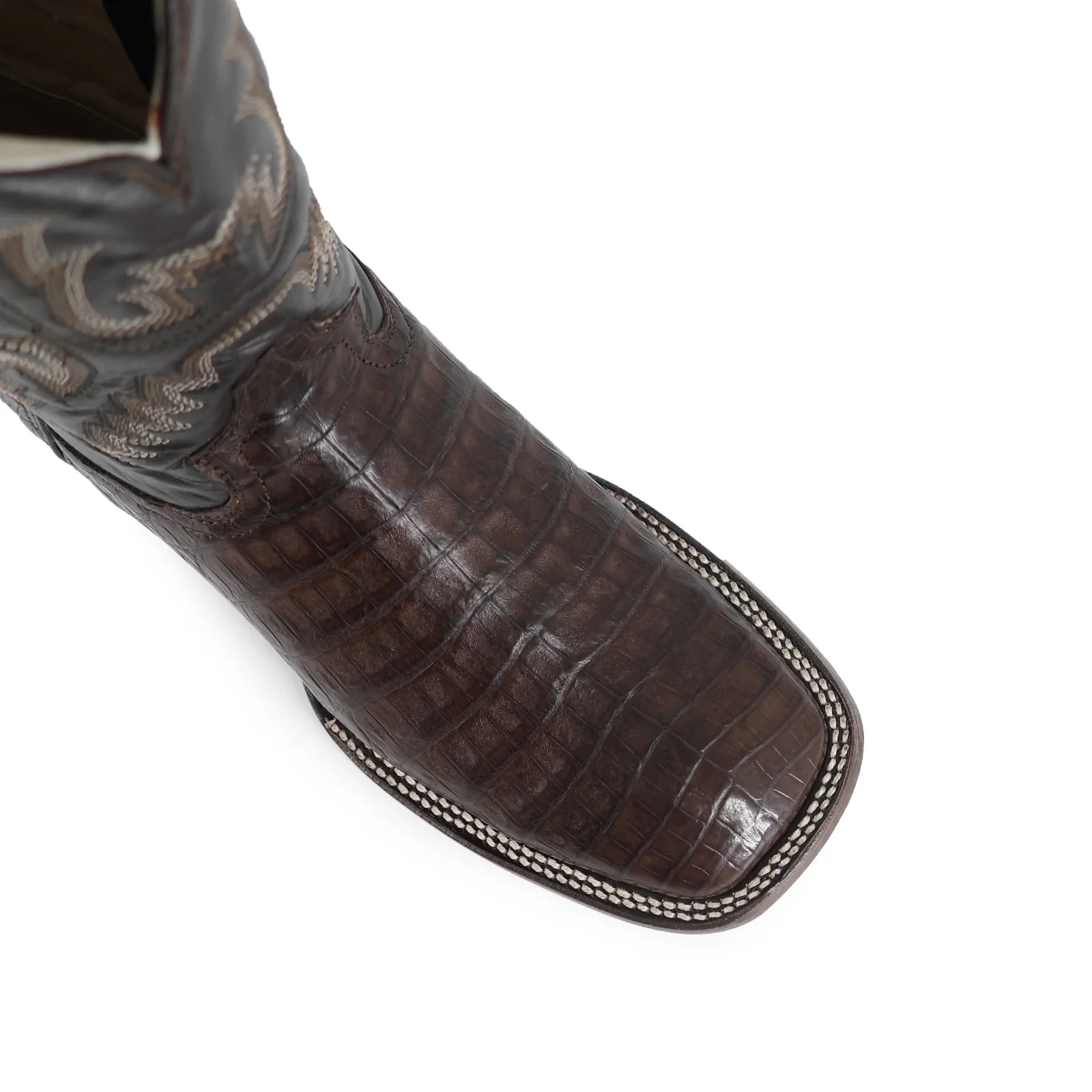 Cocodrilo Panza Cafe, Horma Bulldog