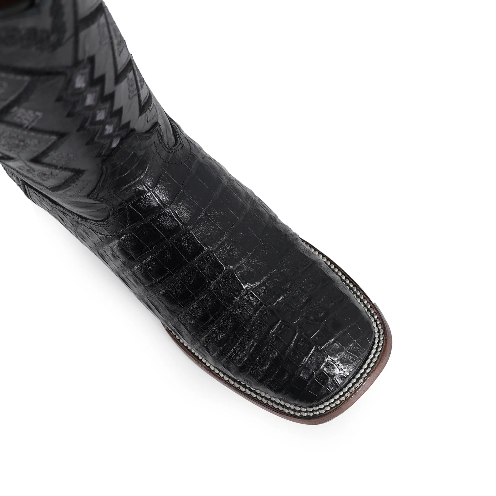 Cocodrilo Panza Negro, Horma Bulldog