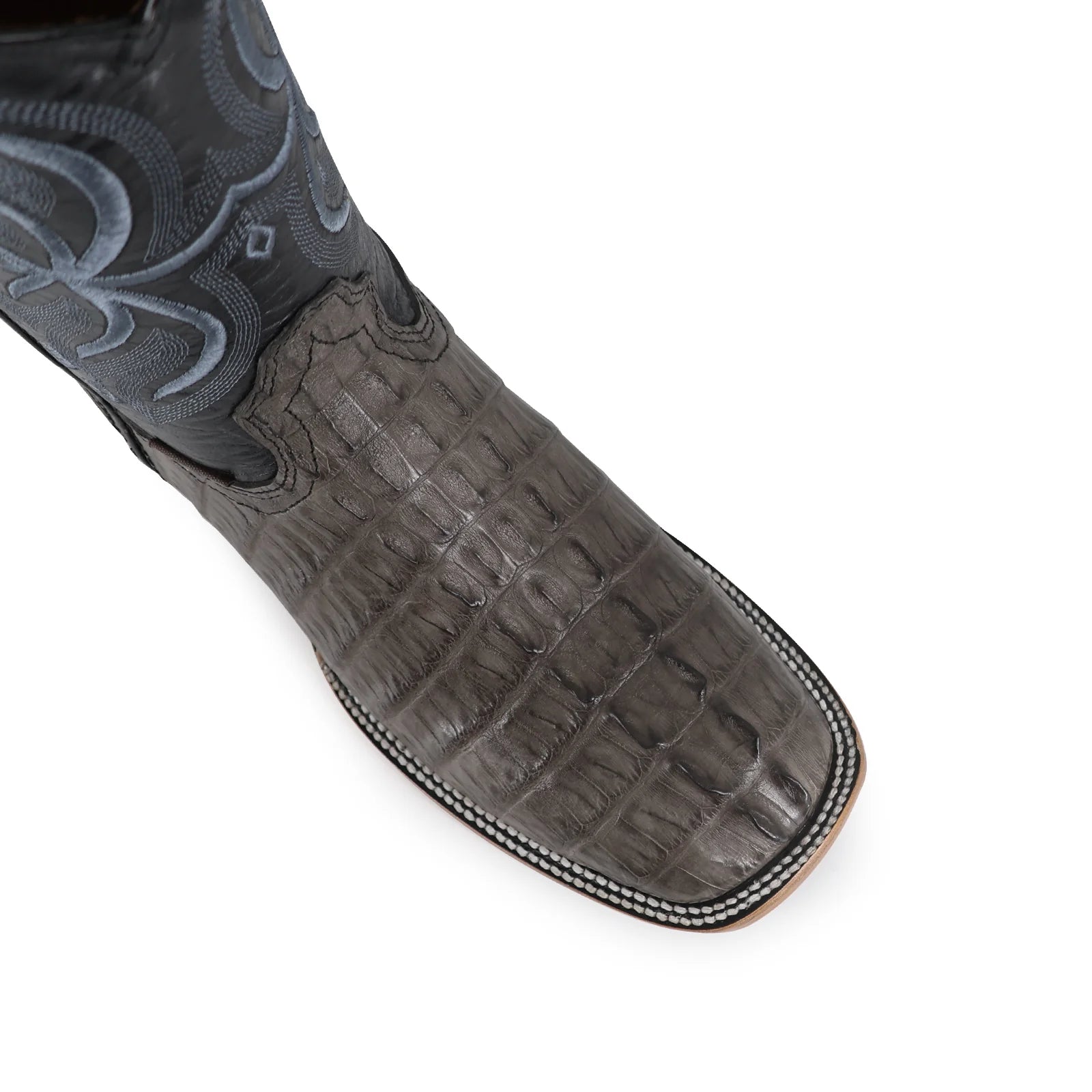 Cocodrilo Cola Gris, Horma Bulldog