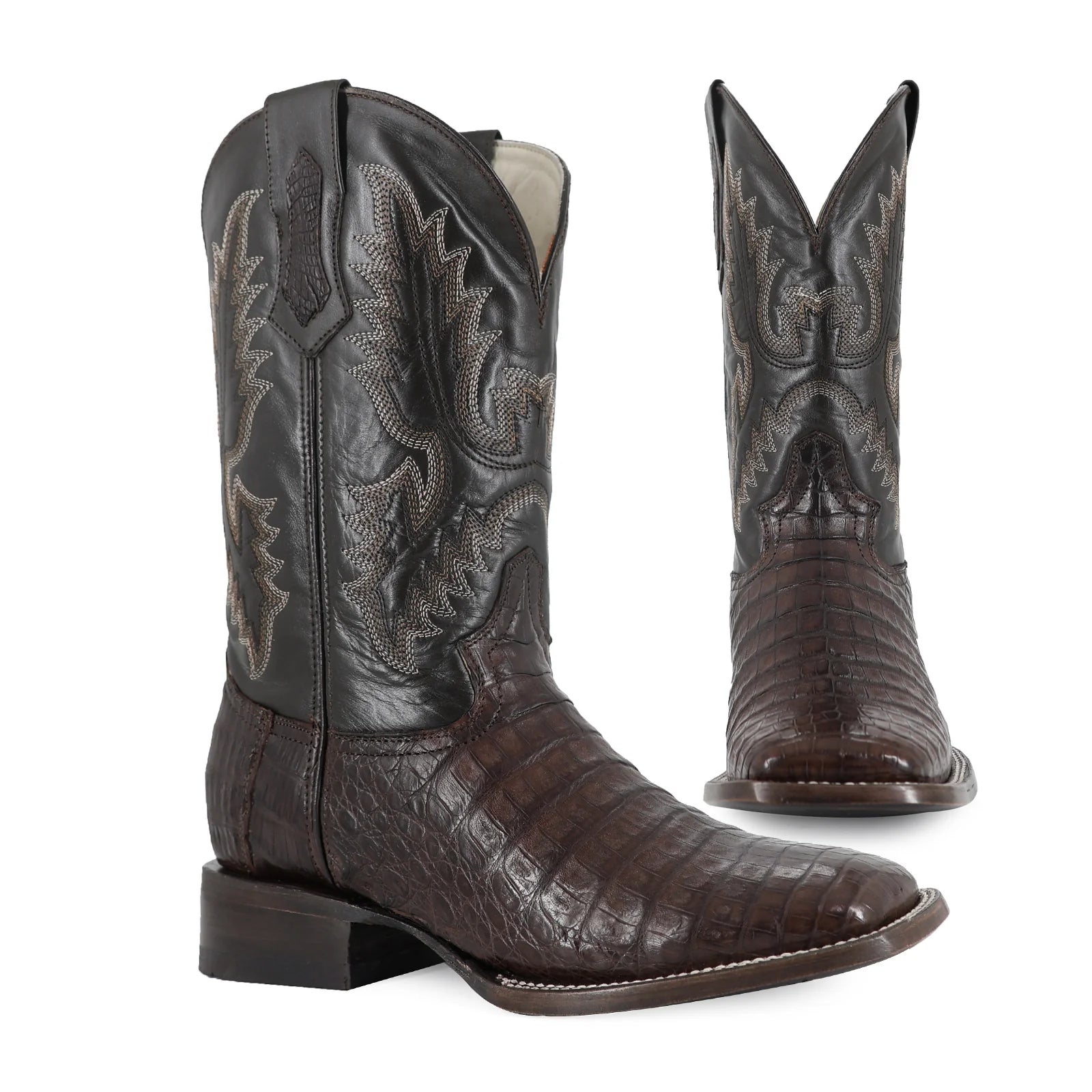 Cocodrilo Panza Cafe, Horma Bulldog