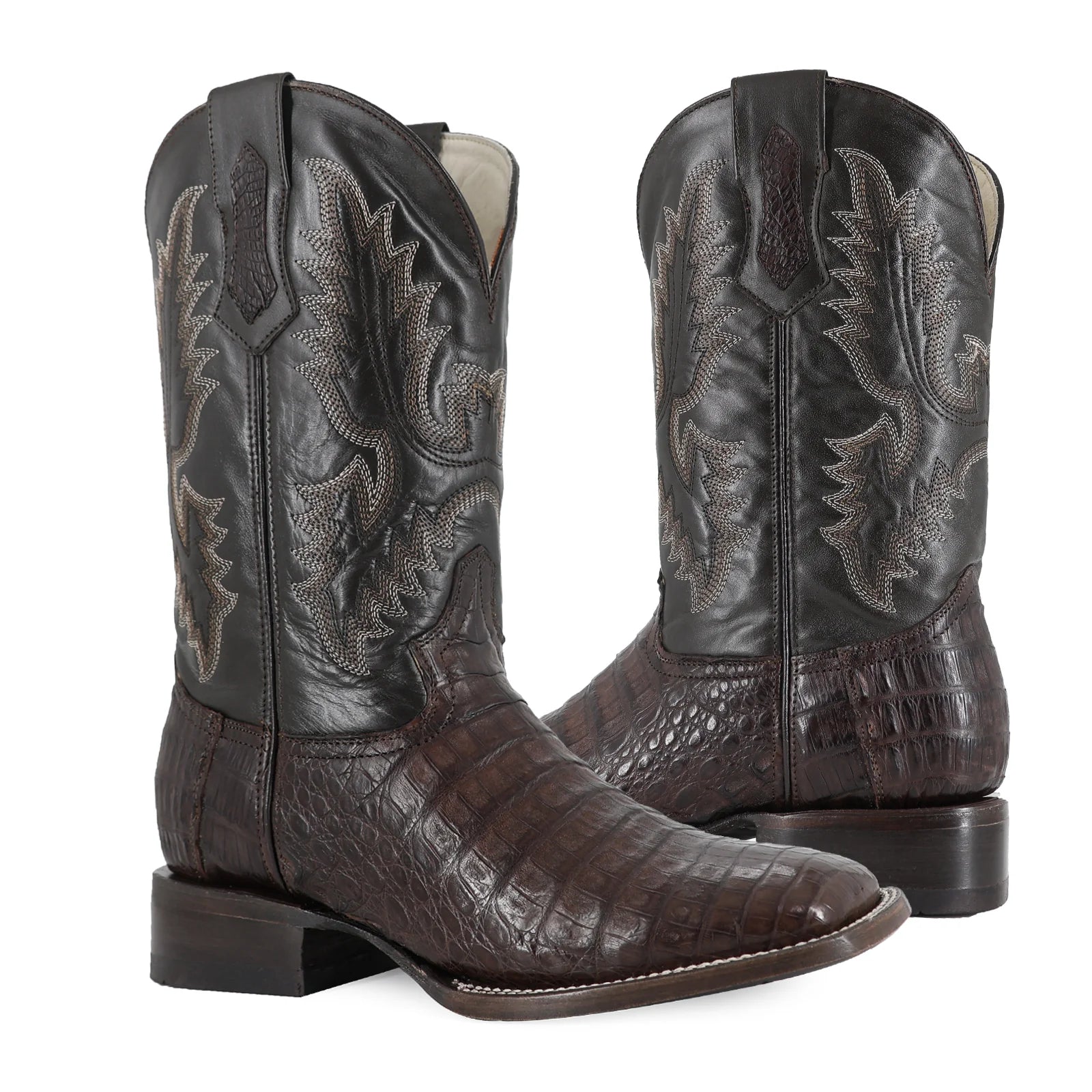 Cocodrilo Panza Cafe, Horma Bulldog