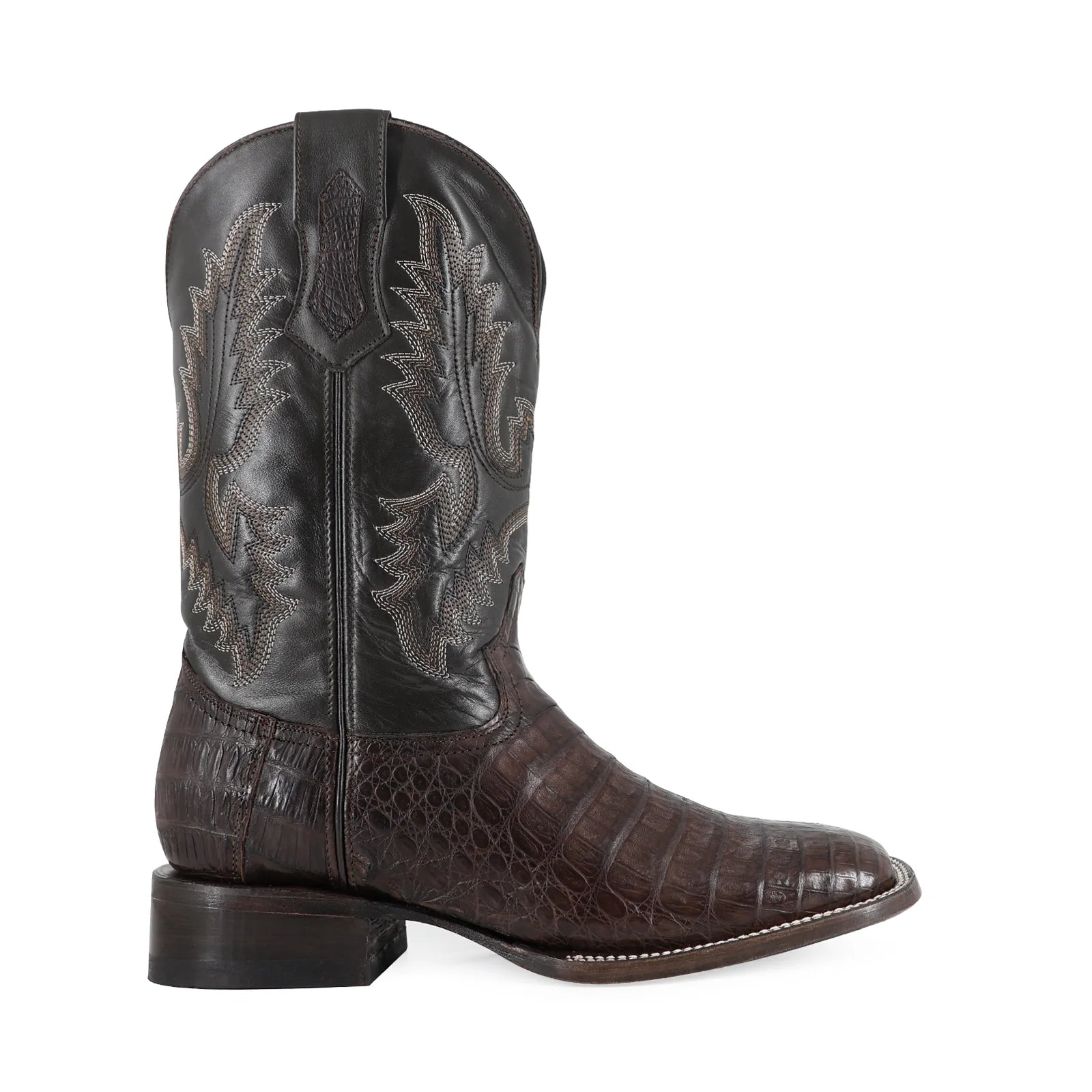 Cocodrilo Panza Cafe, Horma Bulldog