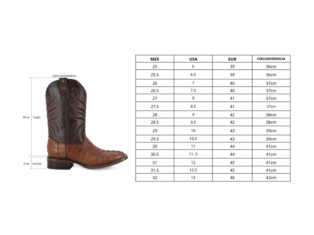 Cocodrilo Cola Cognac, Horma Bulldog