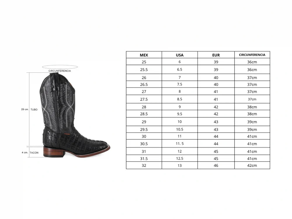 Cocodrilo Cola Negro, Horma Bulldog