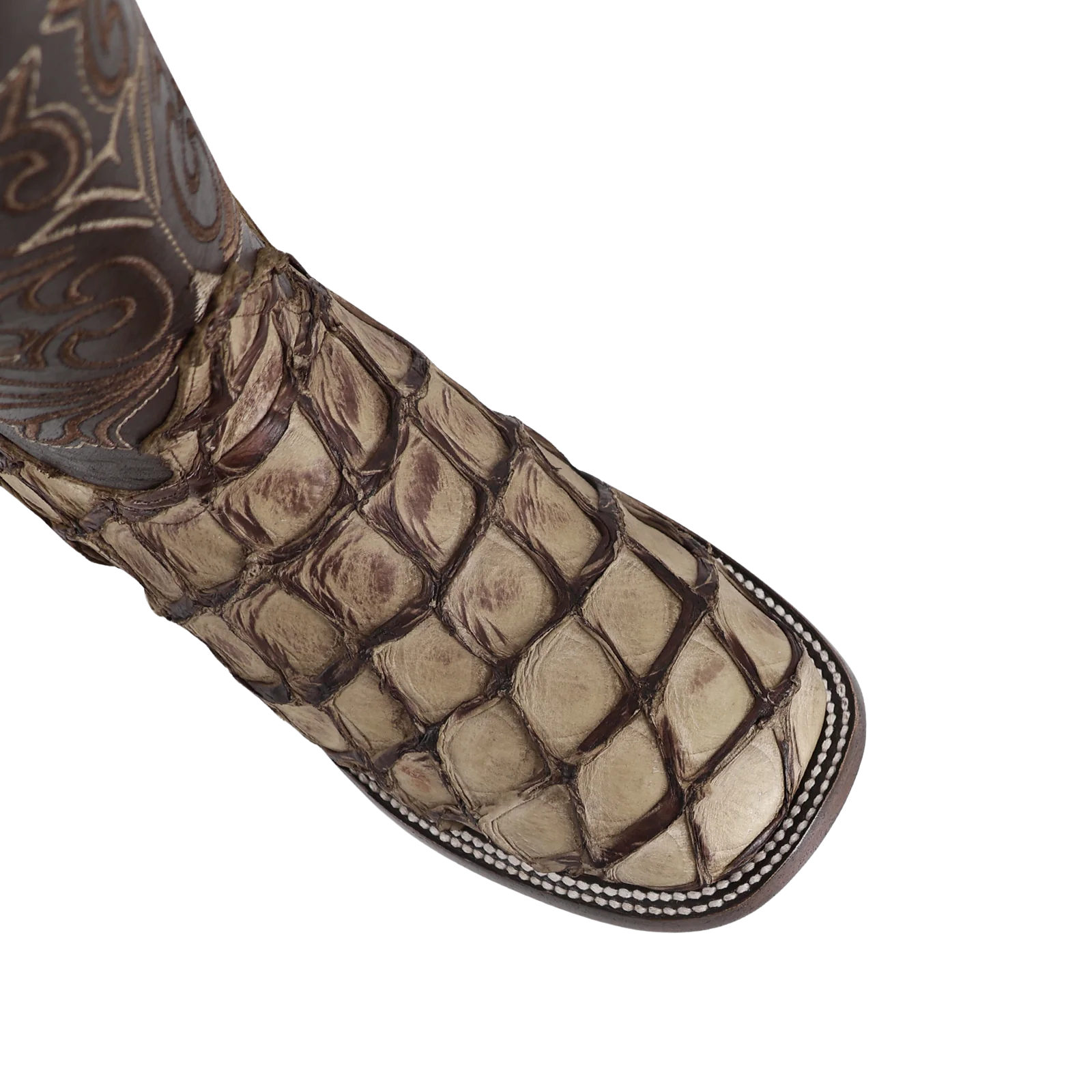 Pescado Pirarucu Mink, Horma Bulldog