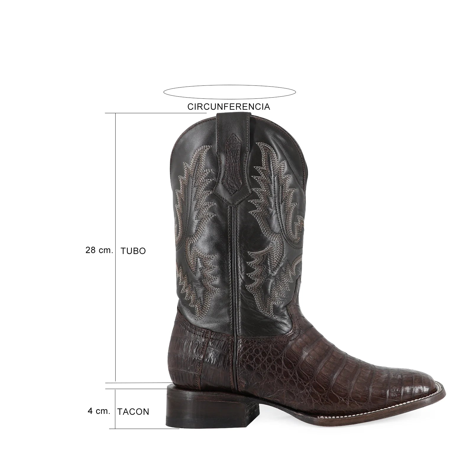 Cocodrilo Panza Cafe, Horma Bulldog